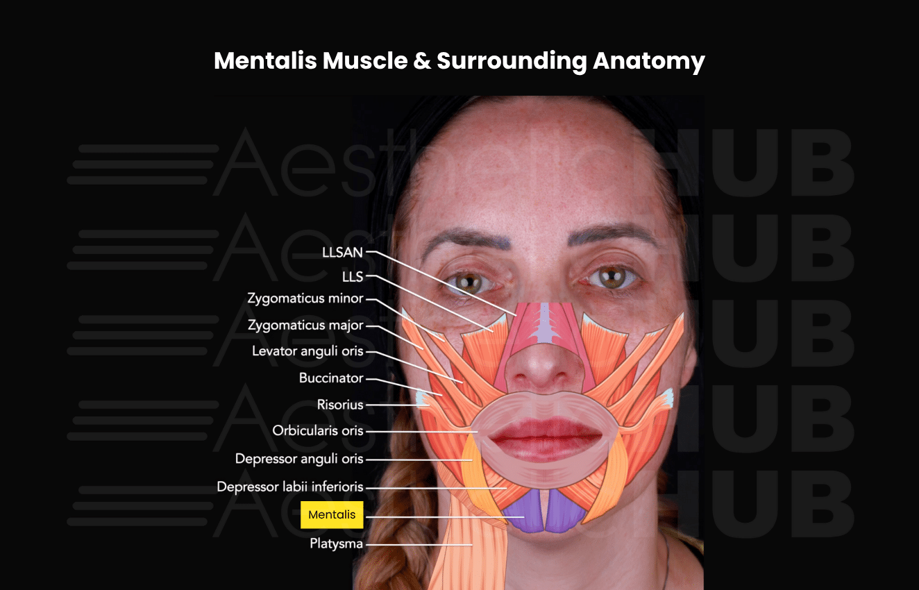 Chin Botox: The Best Fix for Dimpled or Pebbled Chins